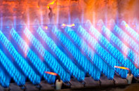 Higher Marsh gas fired boilers